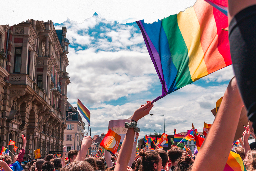 European elections: LGBTQI+ policies