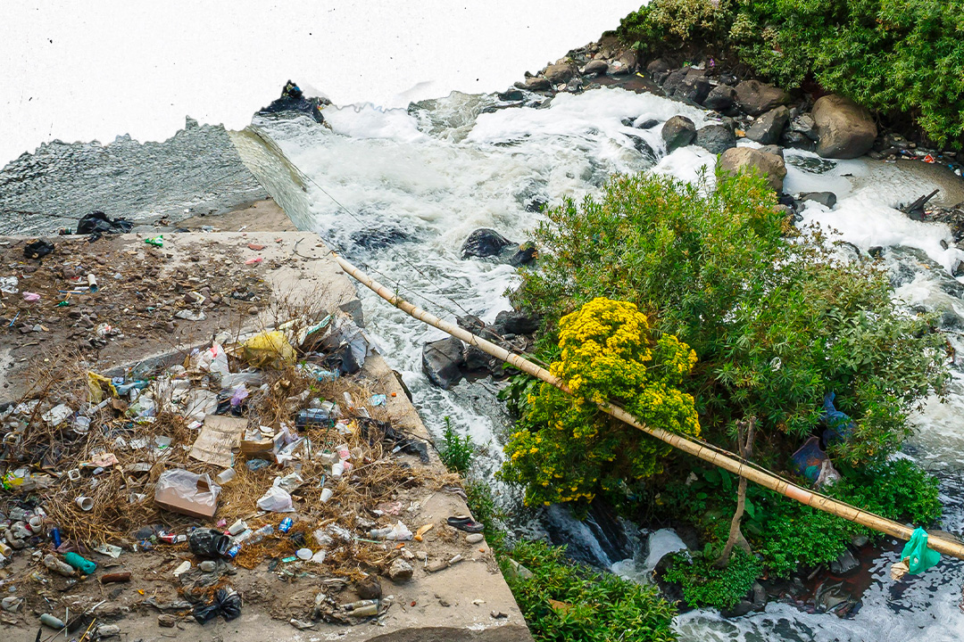 PFAS: what the Eu can do