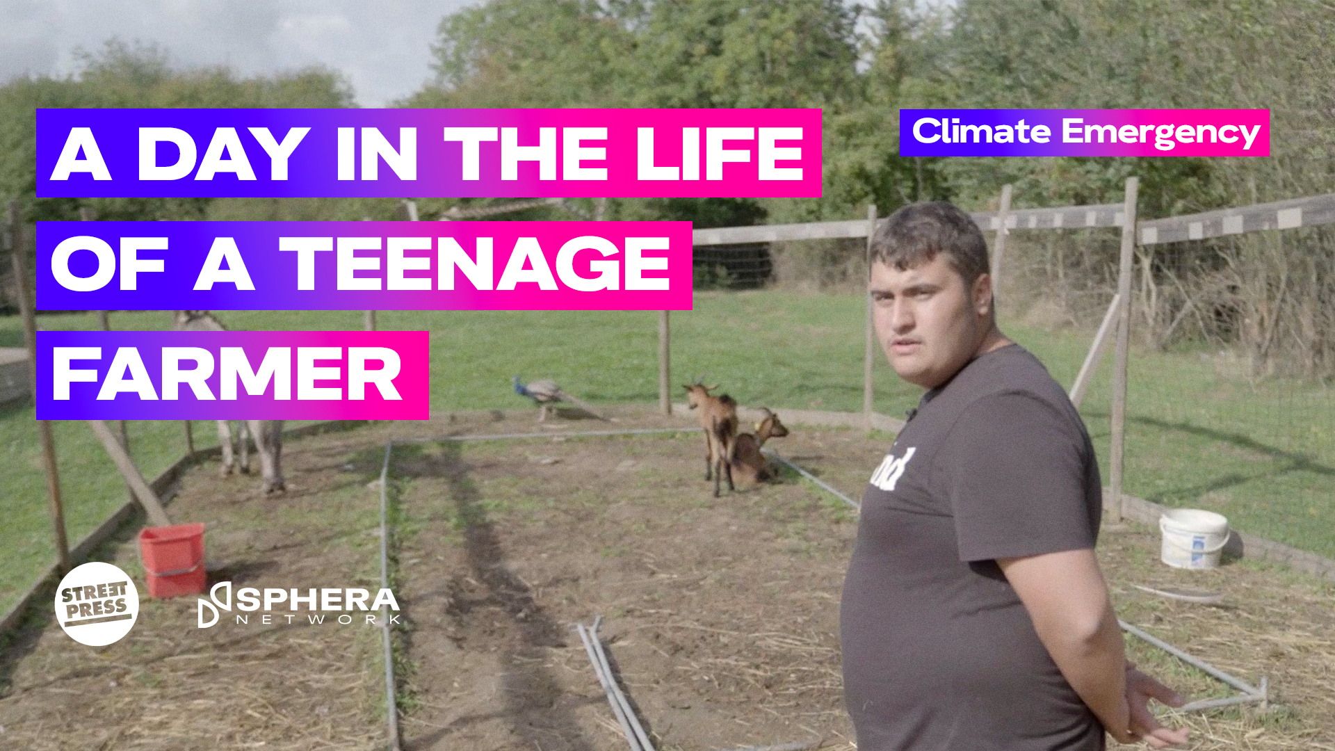 In a Parisian suburb, 18-year old Emre is juggling school and his own farm